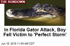In Florida Gator Attack, Boy Fell Victim to &#39;Perfect Storm&#39;