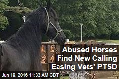 Abused Horses Find New Calling Easing Vets&#39; PTSD