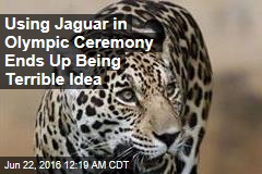 Jaguar Shot Dead After Olympic Ceremony