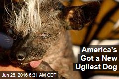 America&#39;s Got a New Ugliest Dog