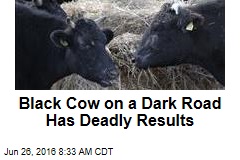 Black Cow on a Dark Road Has Deadly Results