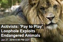 Activists: &#39;Pay to Play&#39; Loophole Exploits Endangered Animals