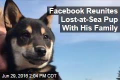 Facebook Reunites Lost-at-Sea Pup With His Family