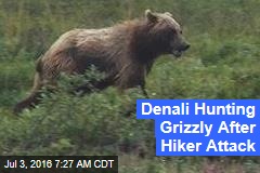 Denali Hunting Grizzly After Hiker Attack