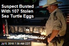 Suspect Busted With 107 Stolen Sea Turtle Eggs