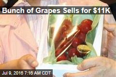 Bunch of Grapes Sells for $11K