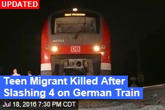 Man Shot After Slashing Passengers on German Train