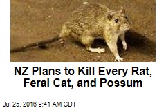 NZ Plans to Kill Every Rat, Feral Cat, and Possum