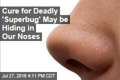 Cure for Deadly &#39;Superbug&#39; May be Hiding in Our Noses