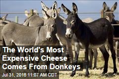 The World&#39;s Most Expensive Cheese Comes From Donkeys