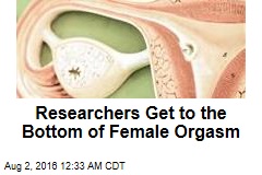 Researchers Get to the Bottom of Female Orgasm