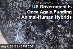 US Government Is Once Again Funding Animal-Human Hybrids