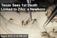 Texas Sees 1st Death Linked to Zika