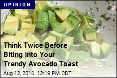 Think Twice Before Biting Into Your Trendy Avocado Toast