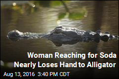 Alligator Nearly Bites Off Florida Woman&#39;s Hand