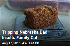 Tripping Nebraska Dad Insults Family Cat