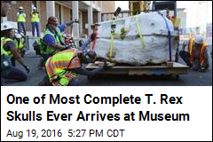 One of Most Complete T. Rex Skulls Ever Arrives at Museum