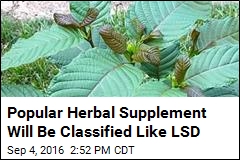 Popular Herbal Supplement Will Be Classified Like LSD