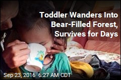Toddler Wanders Into Bear-Filled Forest, Survives for Days