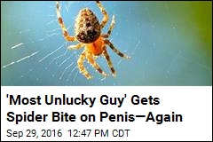 &#39;Most Unlucky Guy&#39; Gets Spider Bite on Penis&mdash;Again