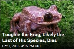 Toughie the Frog, Likely the Last of His Species, Dies
