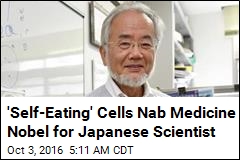 &#39;Self-Eating&#39; Cells Nab Medicine Nobel for Japanese Scientist
