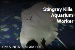 Stingray Kills Aquarium Worker