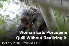 Woman&#39;s Mystery Chest Pains Caused by Porcupine Quill