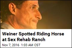 Weiner Spotted Riding Horse at Sex Rehab Ranch