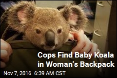 Cops Find Baby Koala in Woman&#39;s Backpack