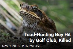 Toad-Hunting Boy Hit by Golf Club, Killed