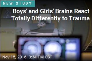 Boys&#39; and Girls&#39; Brains React Totally Differently to Trauma