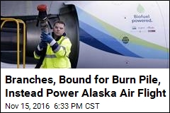 Branches, Bound for Burn Pile, Instead Power Alaska Air Flight