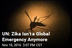 UN: Zika Isn&#39;t a Global Emergency Anymore