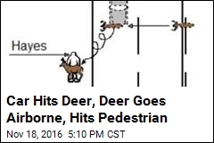 Car Hits Deer, Deer Goes Airborne, Hits Pedestrian