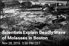 Scientists Explain Deadly Wave of Molasses in Boston