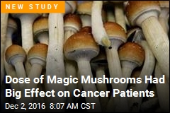 Dose of Magic Mushrooms Had Big Effect on Cancer Patients