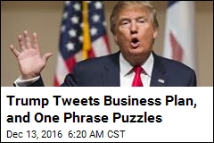 2 Trump Sons to Run Business; Ivanka&#39;s Role Notably Unclear