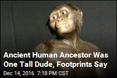 Ancient Human Ancestor Was One Tall Dude, Footprints Say