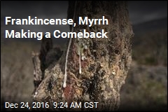 Frankincense, Myrrh Making a Comeback