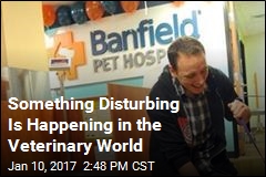 Something Disturbing Is Happening in the Veterinary World