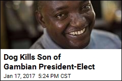 Dog Kills Son of Gambian President-Elect