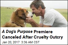 A Dog&#39;s Purpose Premiere Canceled After Cruelty Outcry