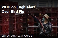 WHO on &#39;High Alert&#39; Over Bird Flu
