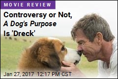 Controversy or Not, A Dog&#39;s Purpose Is &#39;Dreck&#39;