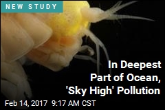 In Deepest Part of Ocean, &#39;Sky High&#39; Pollution