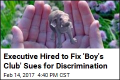 Executive Hired to Fix &#39;Boy&#39;s Club&#39; Sues for Discrimination
