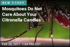 Mosquitoes Do Not Care About Your Citronella Candles