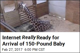 Internet Eagerly Awaits Arrival of 150-Pound Baby