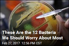 These Are the 12 Bacteria We Should Worry About Most